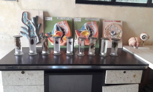 理科室をリノベーション1